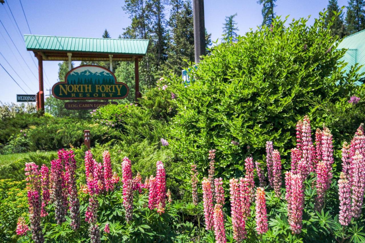 North Forty Resort コロンビア・フォールズ エクステリア 写真